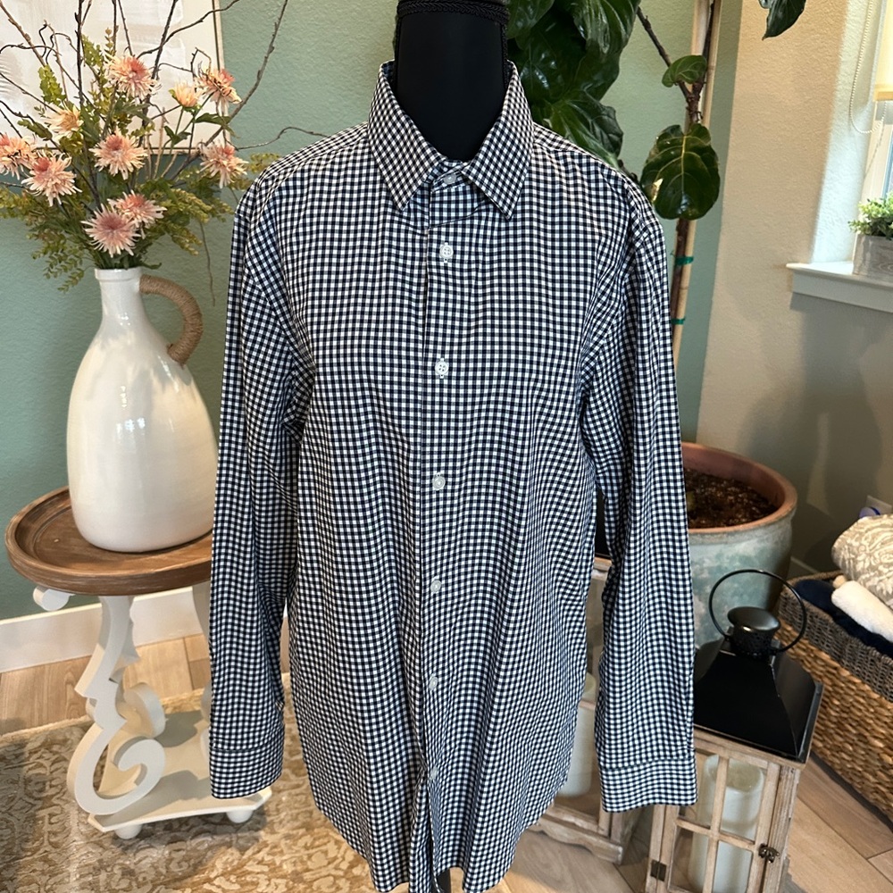 Banana Republic Blue and White Gingham Shirt